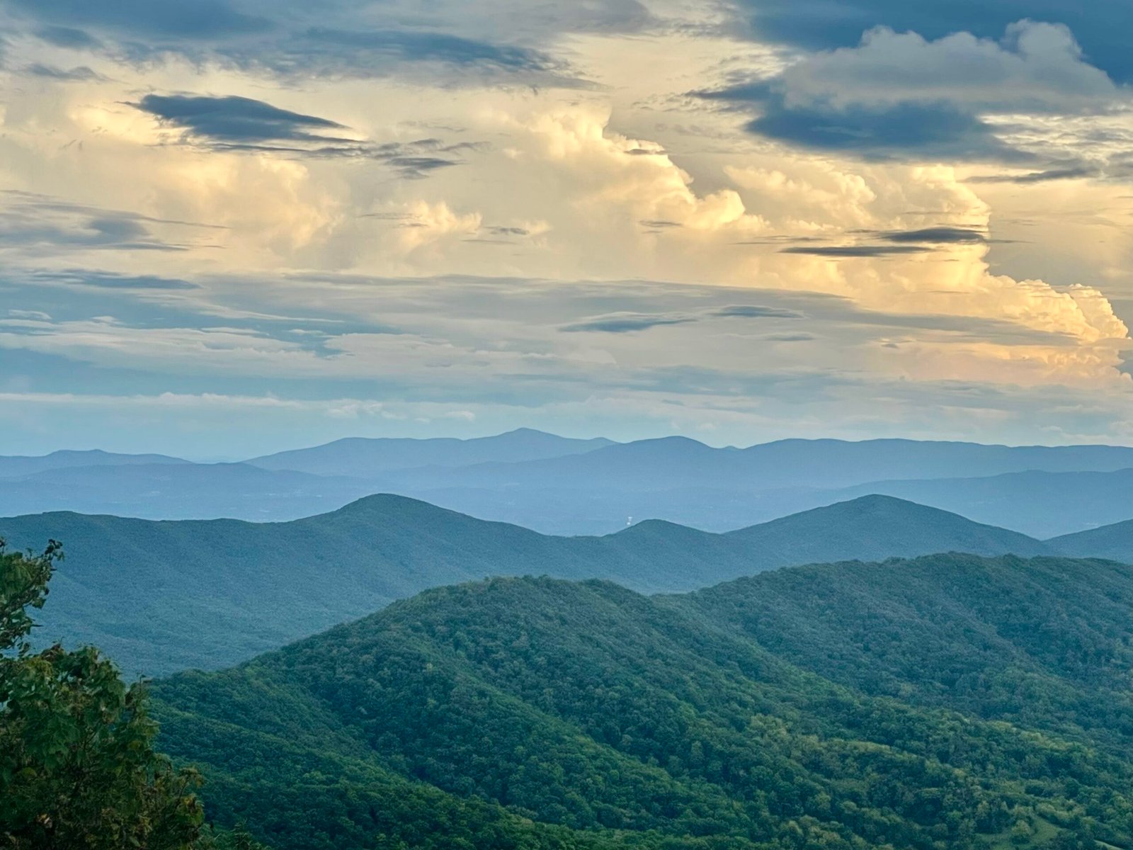 Sometimes You Eat the Bear!