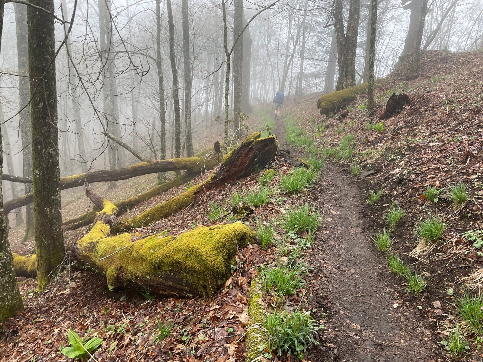 What Defines a Thru-hike?