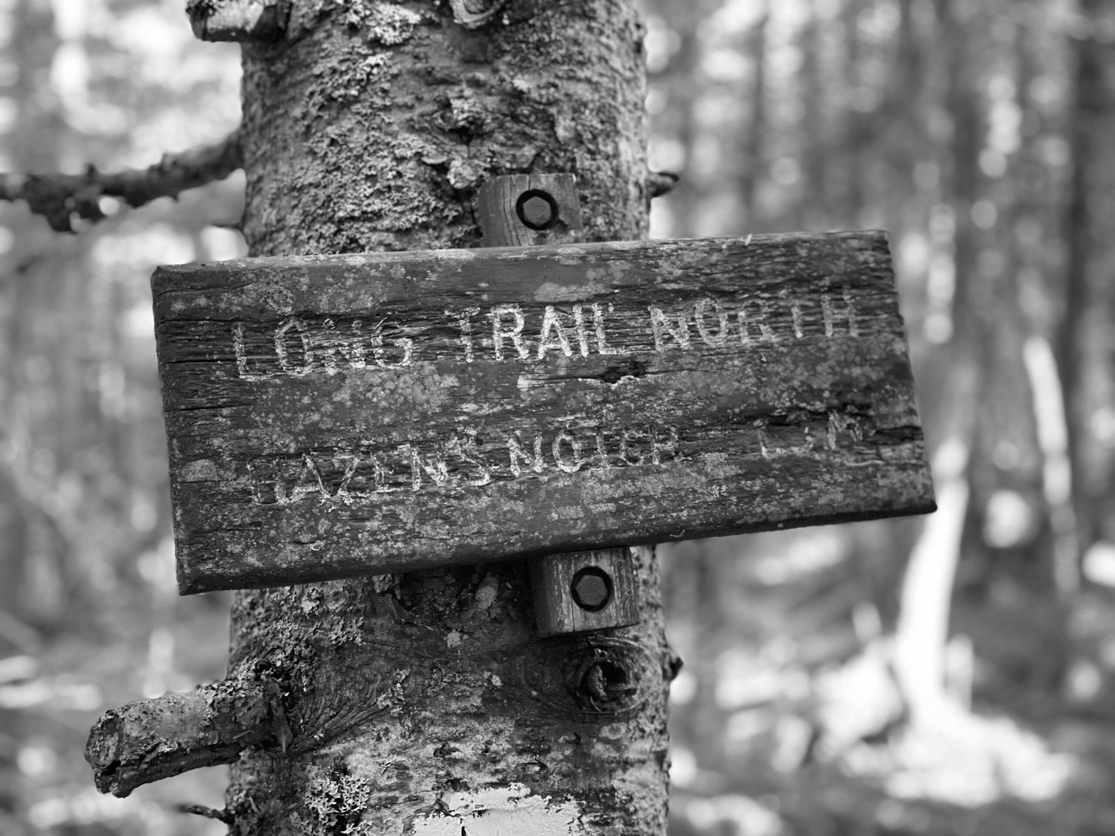 A Century of FKT