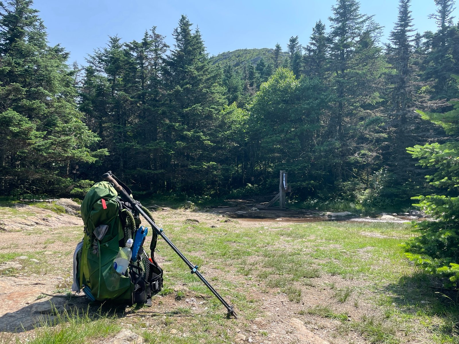 The “Correct” Way to Use Trekking Poles